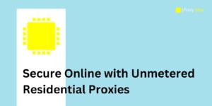 Unmetered Residential Proxies