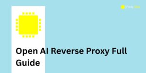 Open AI Reverse Proxy Full Guide